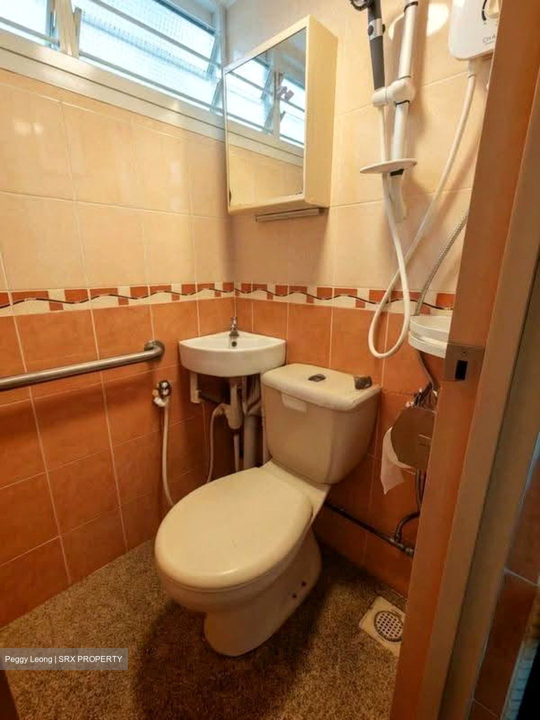 Blk 8 Holland Avenue (Queenstown), HDB 3 Rooms #633797841